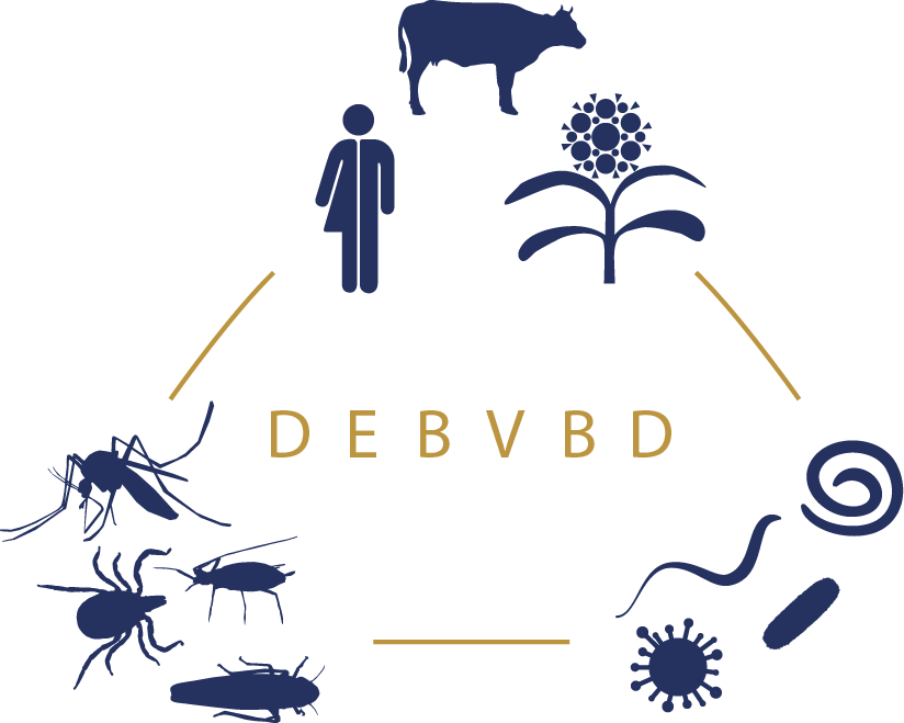 Designated Emphasis in the Biology of Vector-borne Diseases (DEBVBD) | Departments of Entomology and Nematology and Plant Pathology, University of California, Davis