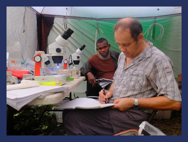Anthony Cornel (foreground). Photos depicting field work for ongoing USAID PEERS grant "Using geospatial tools to investigate how deforestation affects the transmission of malaria in birds." October 2015 - September 2018. PI of the grant is Damion Anong (University of Buea) and Anthony Cornel and Ravinder Sehgal are collaborators. Ten students from University of Buea are part of the project.