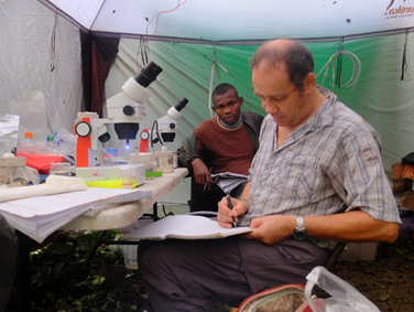 Anthony Cornel (foreground). Photos depicting field work for ongoing USAID PEERS grant Ã¢ÂÂUsing geospatial tools to investigate how deforestation affects the transmission of malaria in birds.Ã¢ÂÂ October 2015 Ã¢ÂÂ September 2018. PI of the grant is Damion Anong (University of Buea) and Anthony Cornel and Ravinder Sehgal are collaborators. Ten students from University of Buea are part of the project.
