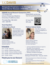 Flyer for the DEBVBD 2023 Symposium